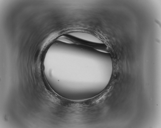 X0000091540197200708171252