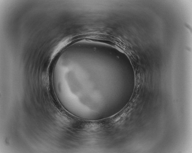X0000091540198200708171252