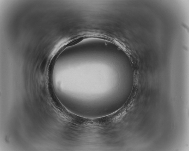X0000091540199200708171252