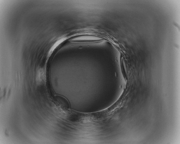 X0000091540200200708171252