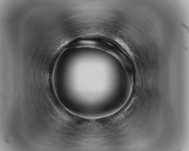 X0000091540201200708171252