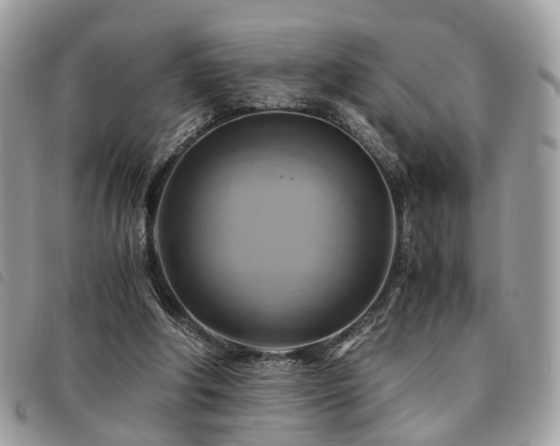 X0000091540202200708171252