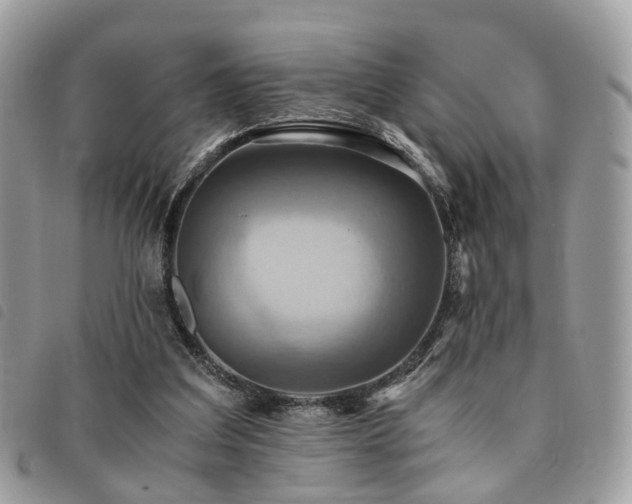 X0000091540203200708171252