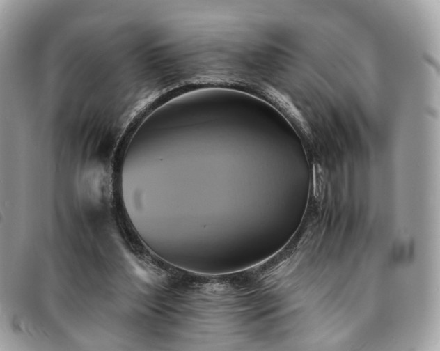 X0000091540204200708171252
