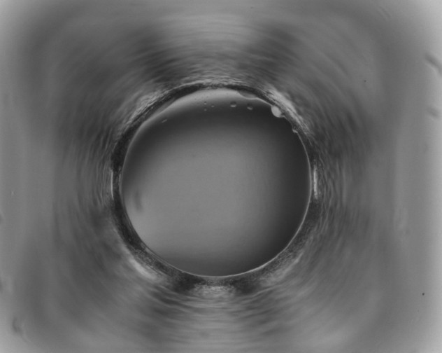 X0000091540205200708171252