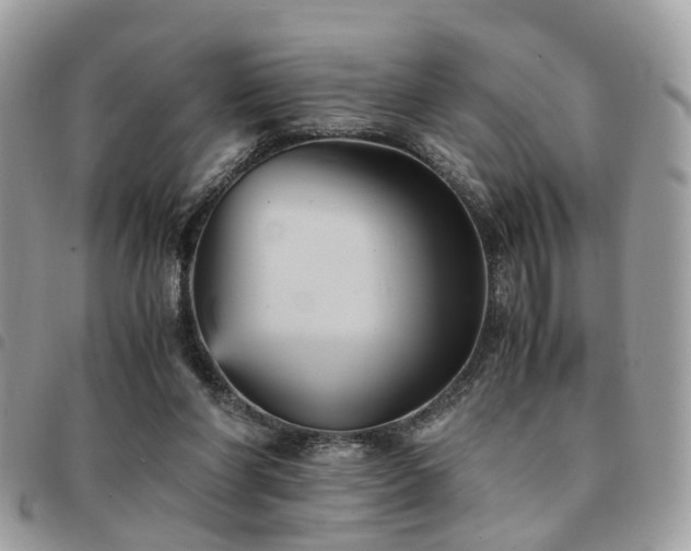 X0000091540206200708171252