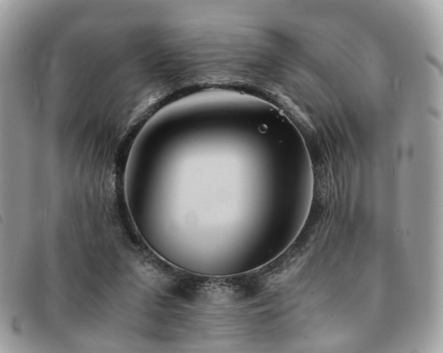 X0000091540207200708171252