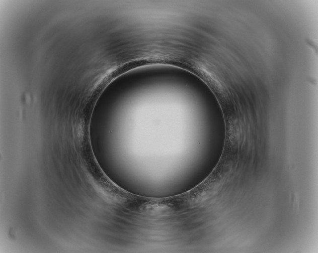 X0000091540208200708171252