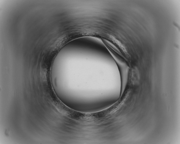 X0000091540209200708171252