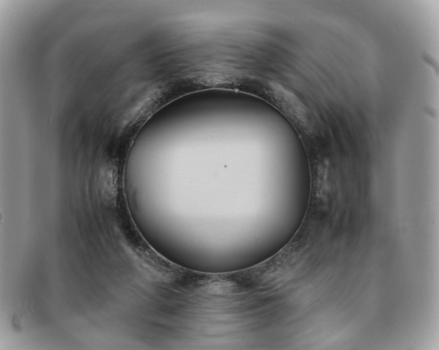 X0000091540210200708171252