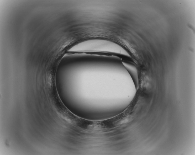 X0000091540211200708171252
