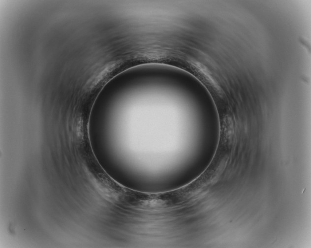 X0000091540212200708171252