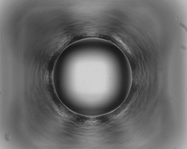 X0000091540213200708171252