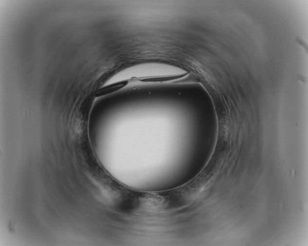X0000091540215200708171252