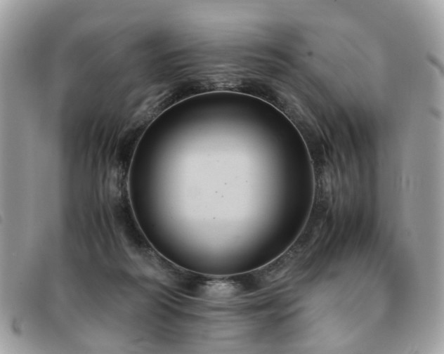 X0000091540218200708171251