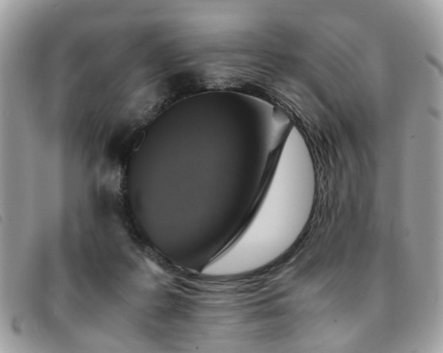 X0000091540219200708171251