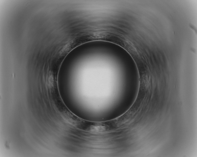 X0000091540220200708171251