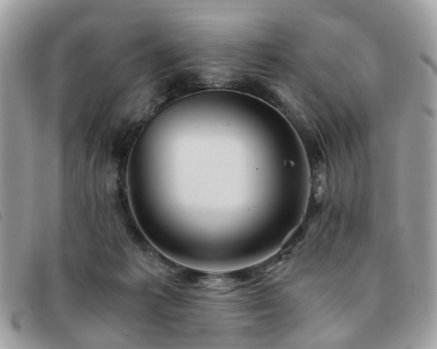 X0000091540221200708171251