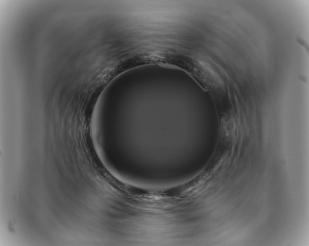 X0000091540223200708171251