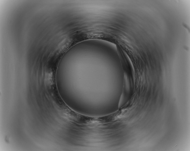 X0000091540224200708171251