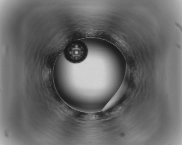 X0000091540225200708171251