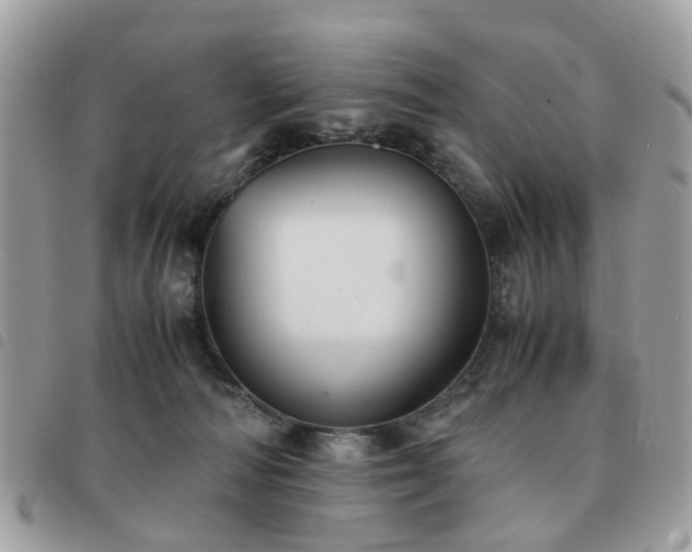 X0000091540226200708171251