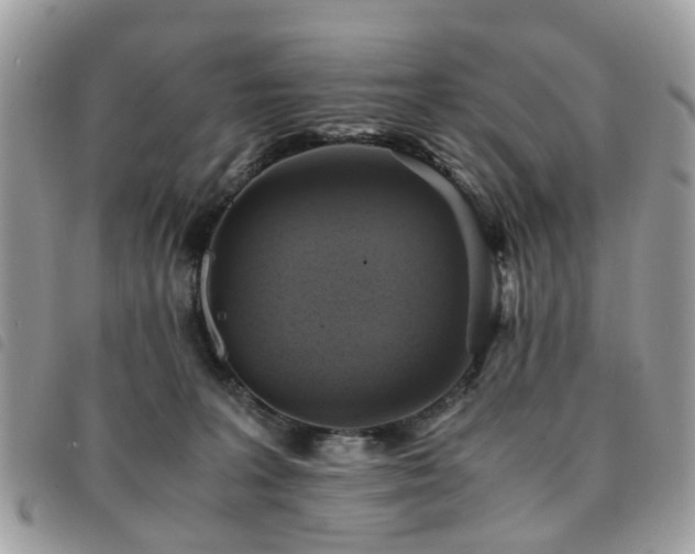 X0000091540227200708171251