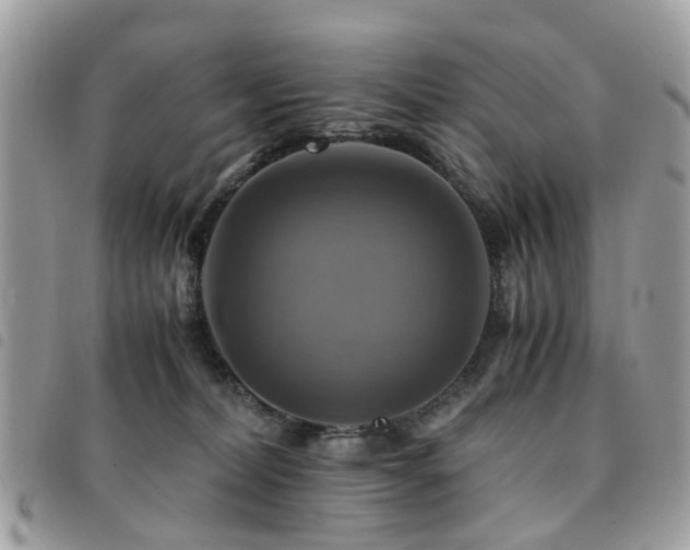 X0000091540228200708171251