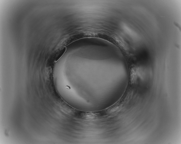 X0000091540229200708171251