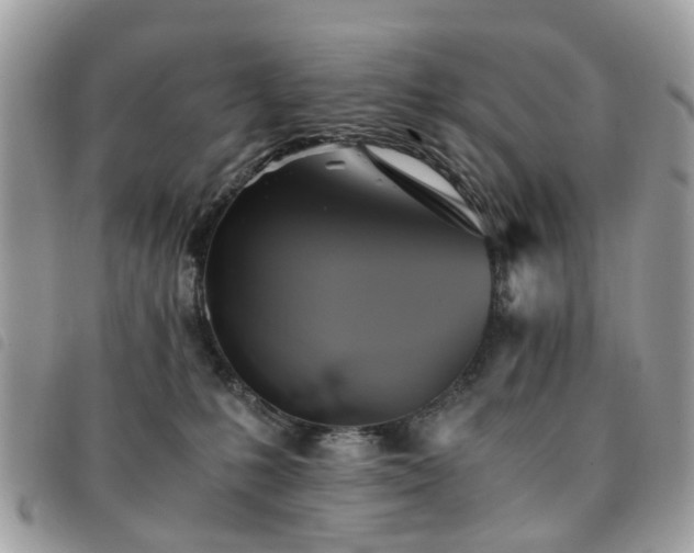 X0000091540231200708171251