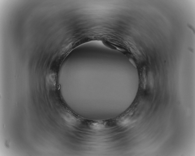 X0000091540232200708171251
