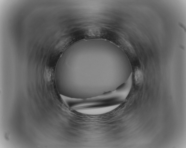 X0000091540233200708171251