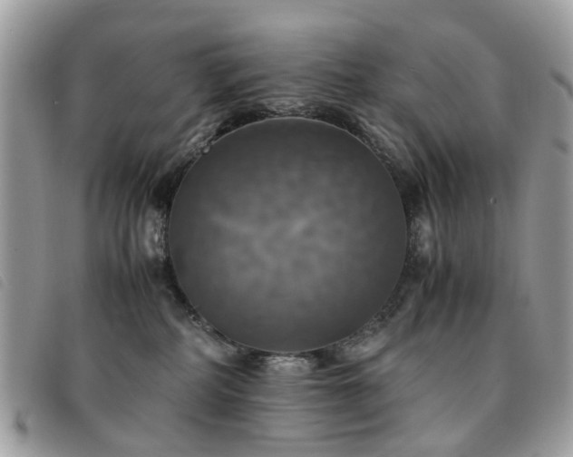 X0000091540234200708171251