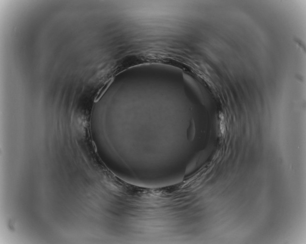 X0000091540235200708171251