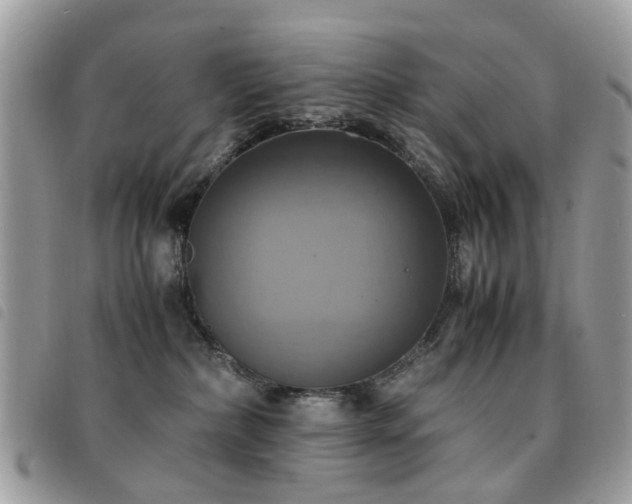 X0000091540236200708171251