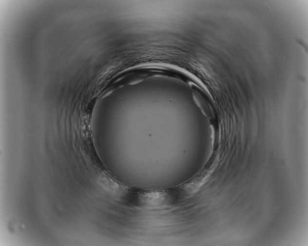 X0000091540237200708171251