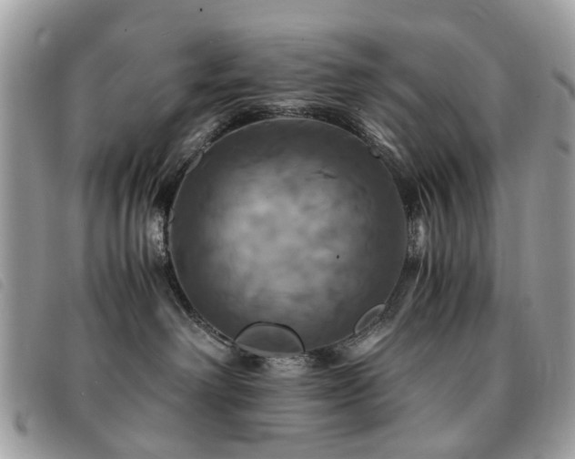 X0000091540238200708171251