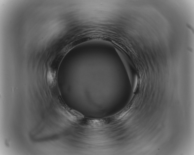 X0000091540239200708171251