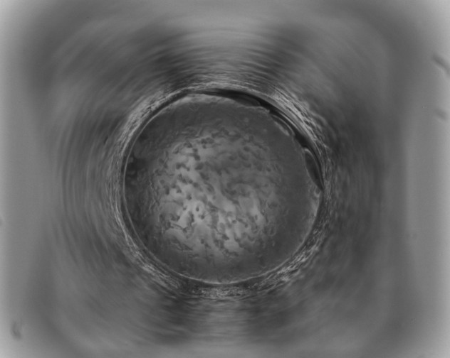 X0000091540241200708171250
