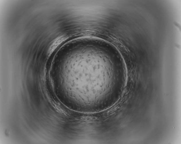 X0000091540242200708171250