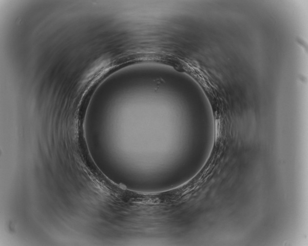 X0000091540243200708171250