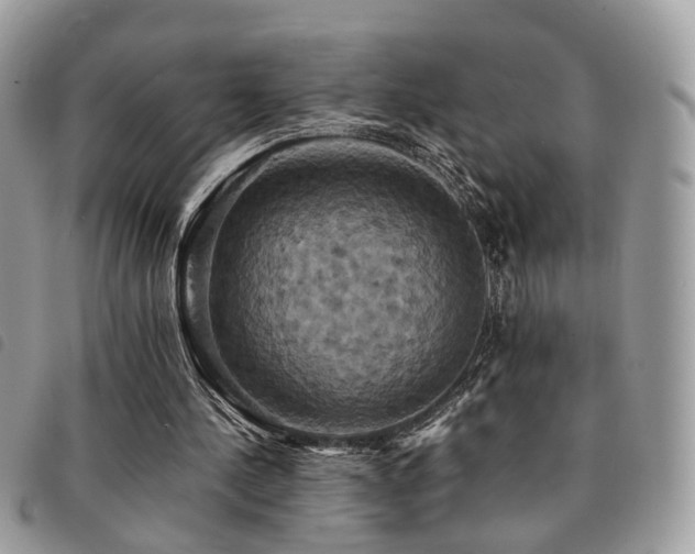 X0000091540244200708171250