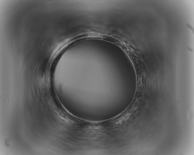 X0000091540247200708171250