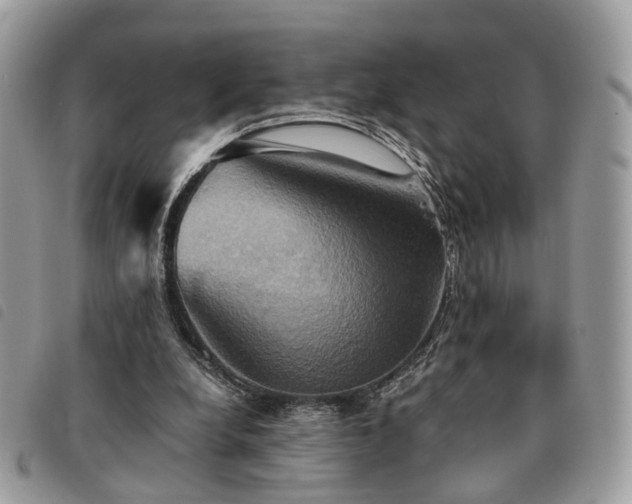 X0000091540248200708171250