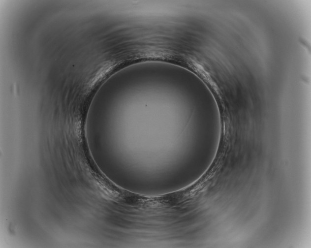 X0000091540249200708171250