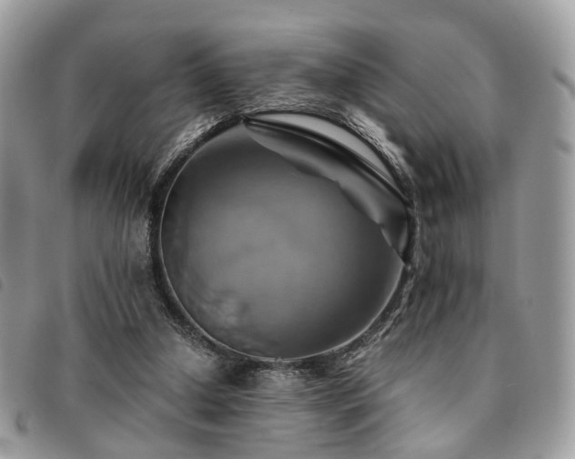 X0000091540250200708171250