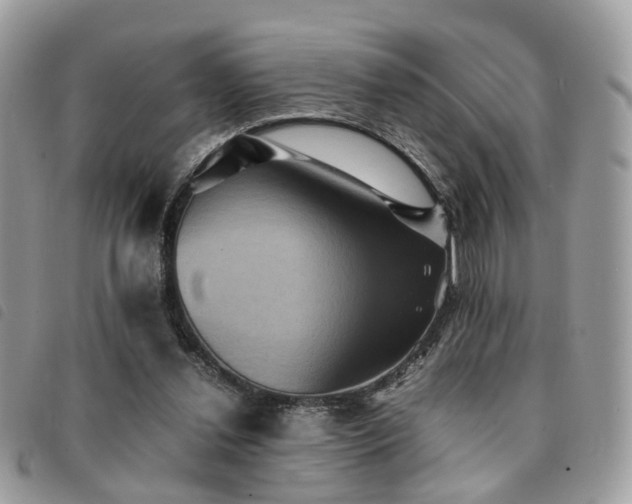 X0000091540252200708171251