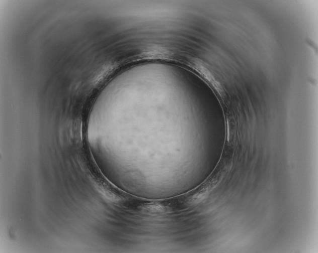 X0000091540253200708171251