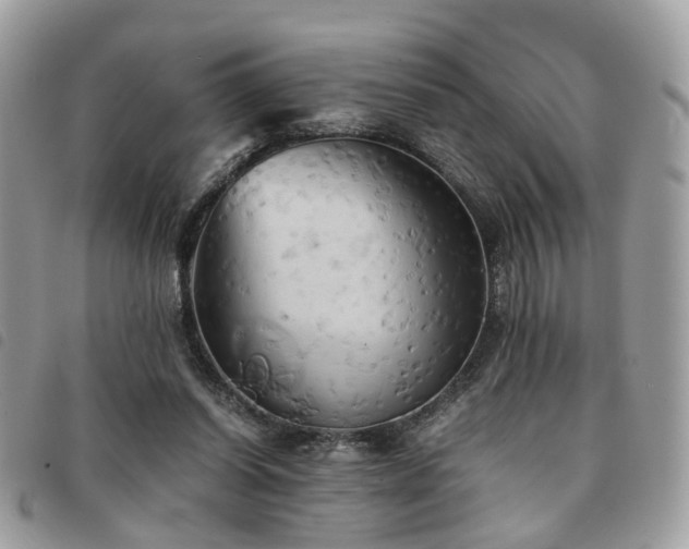 X0000091540254200708171251