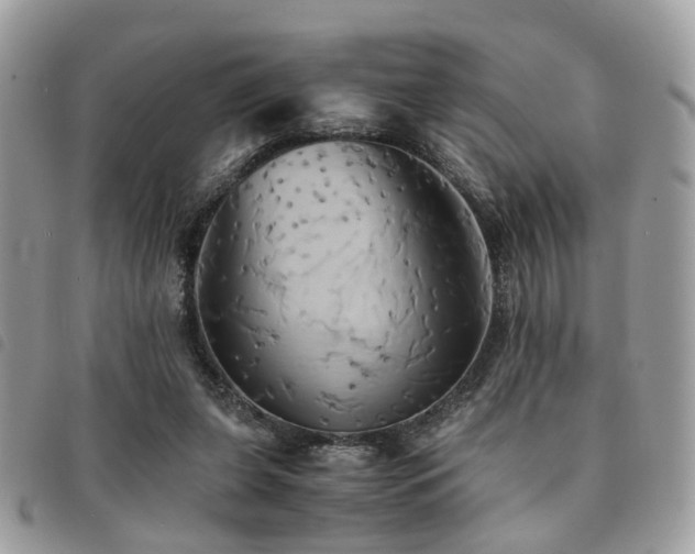 X0000091540255200708171251